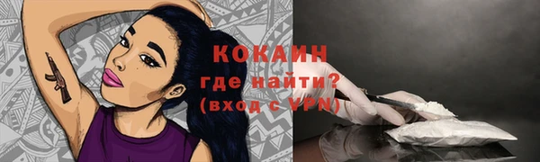 индика Нефтегорск
