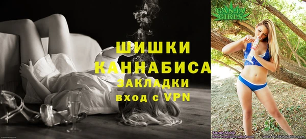 индика Нефтегорск