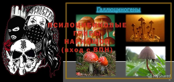 индика Нефтегорск