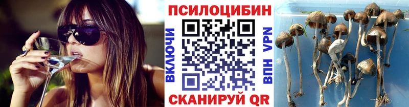 магазин продажи наркотиков  Рославль  Галлюциногенные грибы Cubensis 